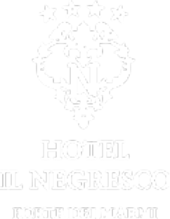 Hotel Il Negresco — Forte dei Marmi